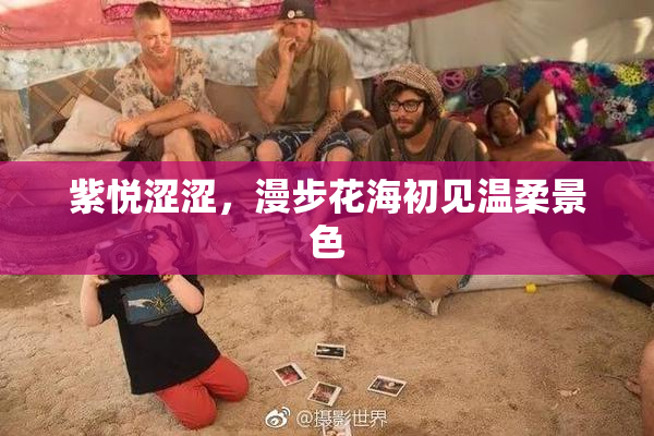 紫悦涩涩，漫步花海初见温柔景色