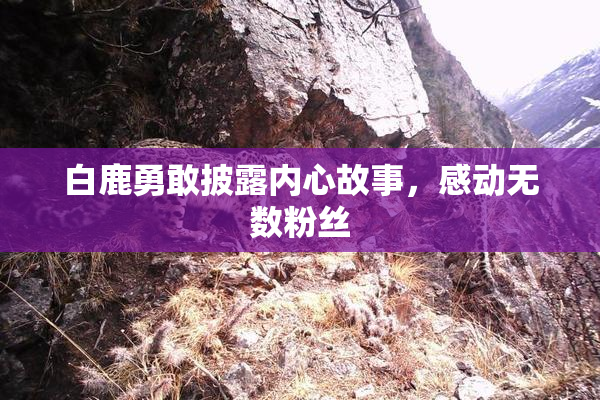 白鹿勇敢披露内心故事，感动无数粉丝