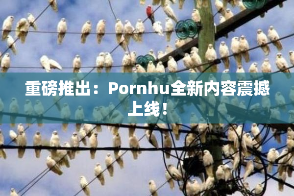 重磅推出：Pornhu全新内容震撼上线！