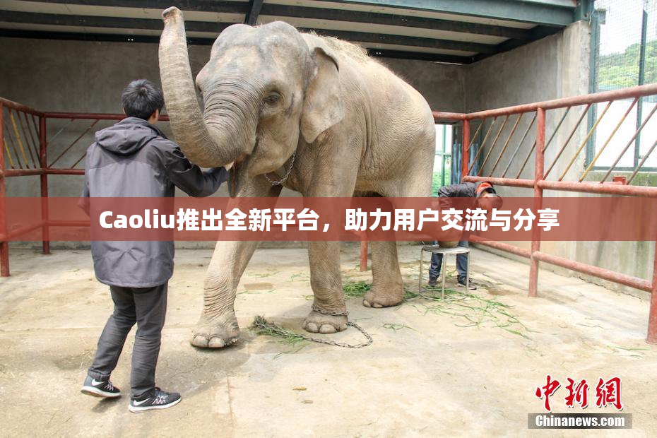 Caoliu推出全新平台，助力用户交流与分享