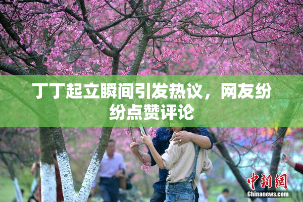 丁丁起立瞬间引发热议，网友纷纷点赞评论