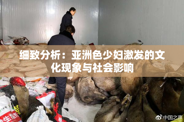 细致分析：亚洲色少妇激发的文化现象与社会影响