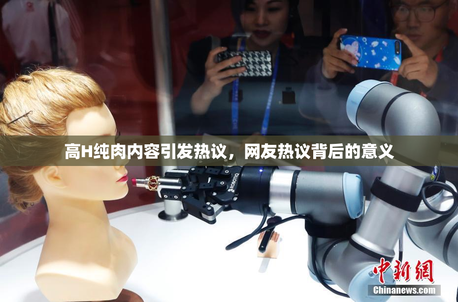 高H纯肉内容引发热议，网友热议背后的意义