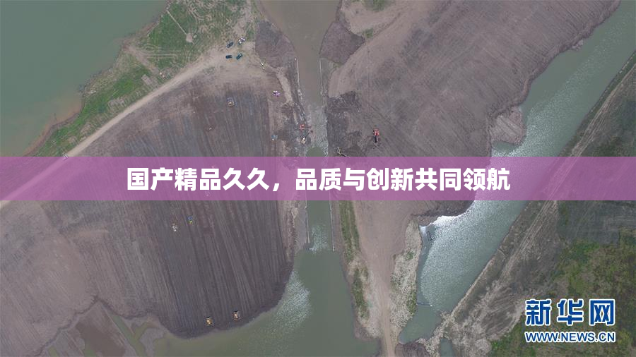 国产精品久久，品质与创新共同领航