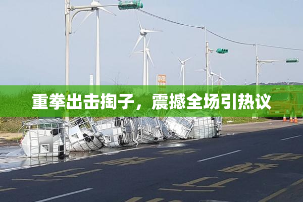 重拳出击掏子，震撼全场引热议