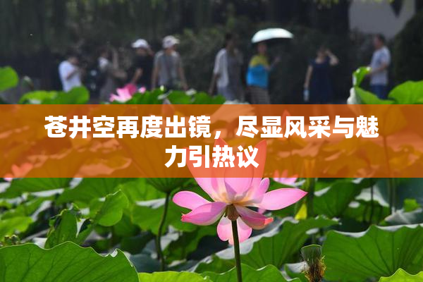苍井空再度出镜，尽显风采与魅力引热议