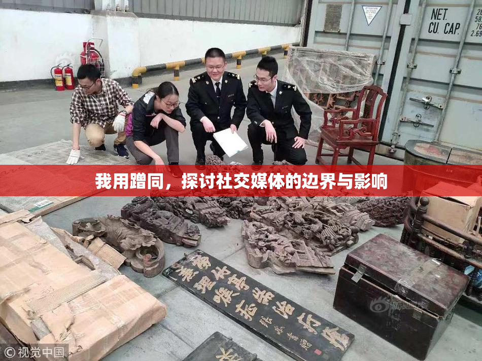 我用蹭同，探讨社交媒体的边界与影响