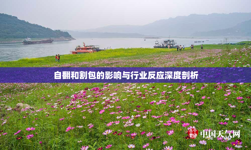 自翻和割包的影响与行业反应深度剖析