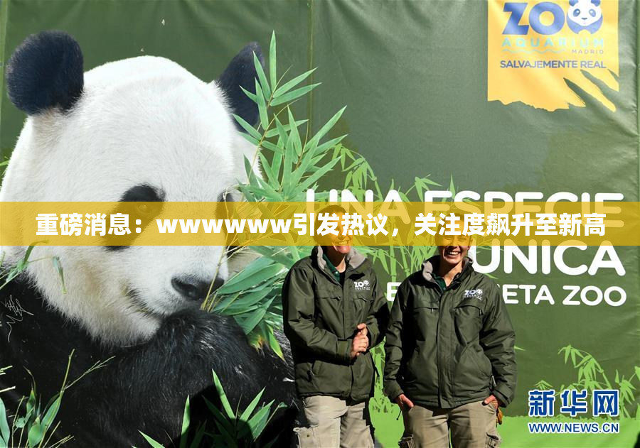 重磅消息：wwwwww引发热议，关注度飙升至新高