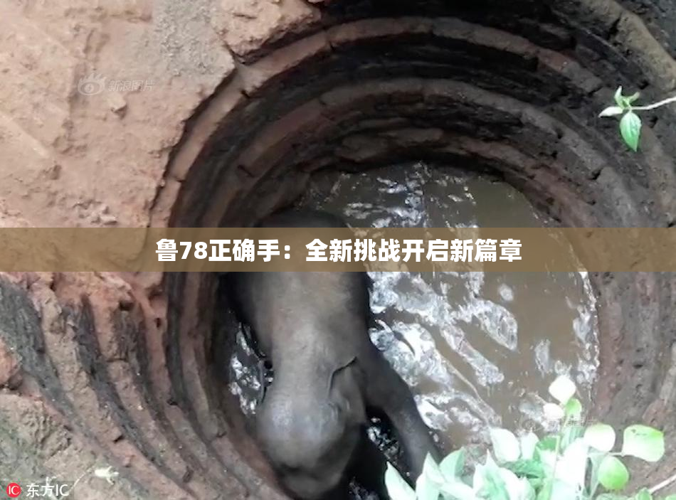 鲁78正确手：全新挑战开启新篇章