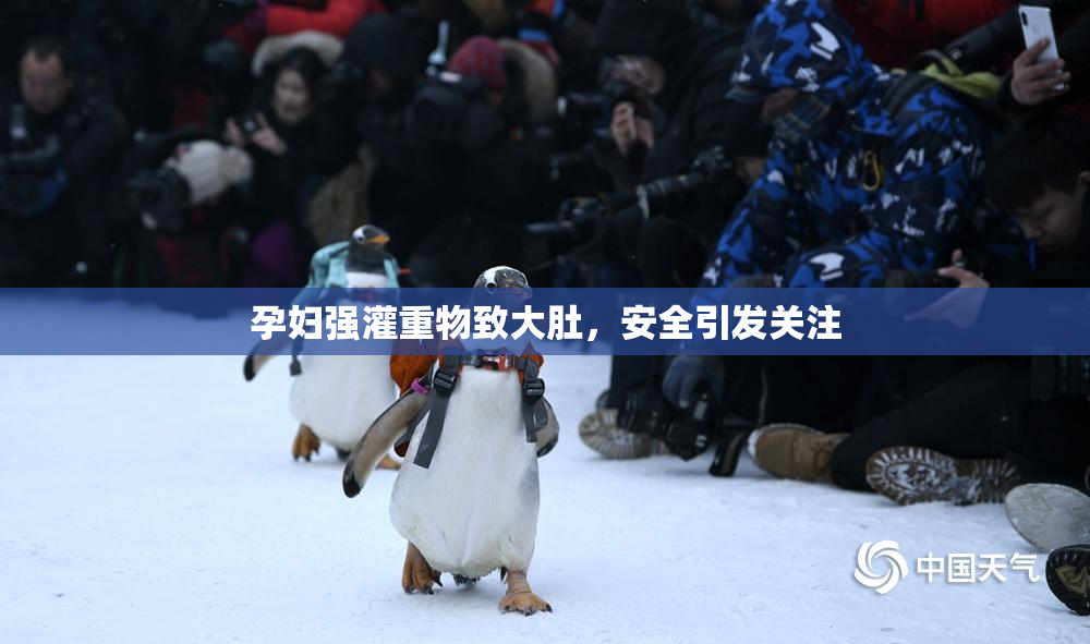 孕妇强灌重物致大肚，安全引发关注