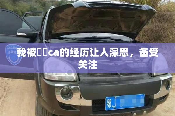 我被妺妺ca的经历让人深思，备受关注