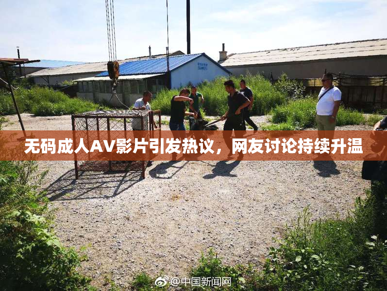 无码成人AV影片引发热议，网友讨论持续升温