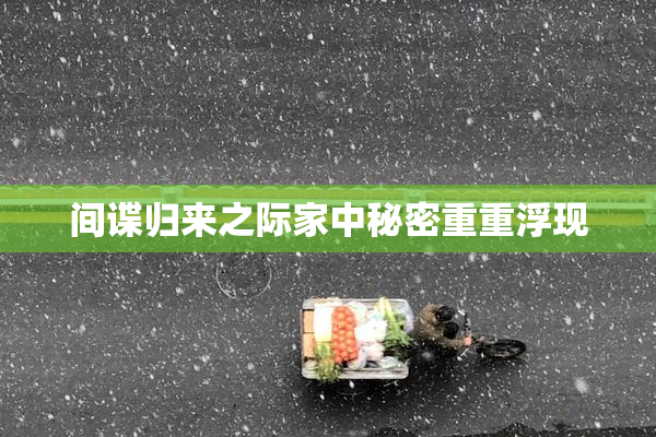 间谍归来之际家中秘密重重浮现
