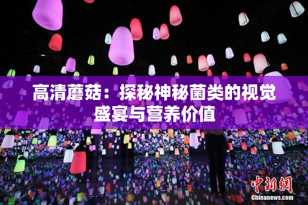 高清蘑菇：探秘神秘菌类的视觉盛宴与营养价值