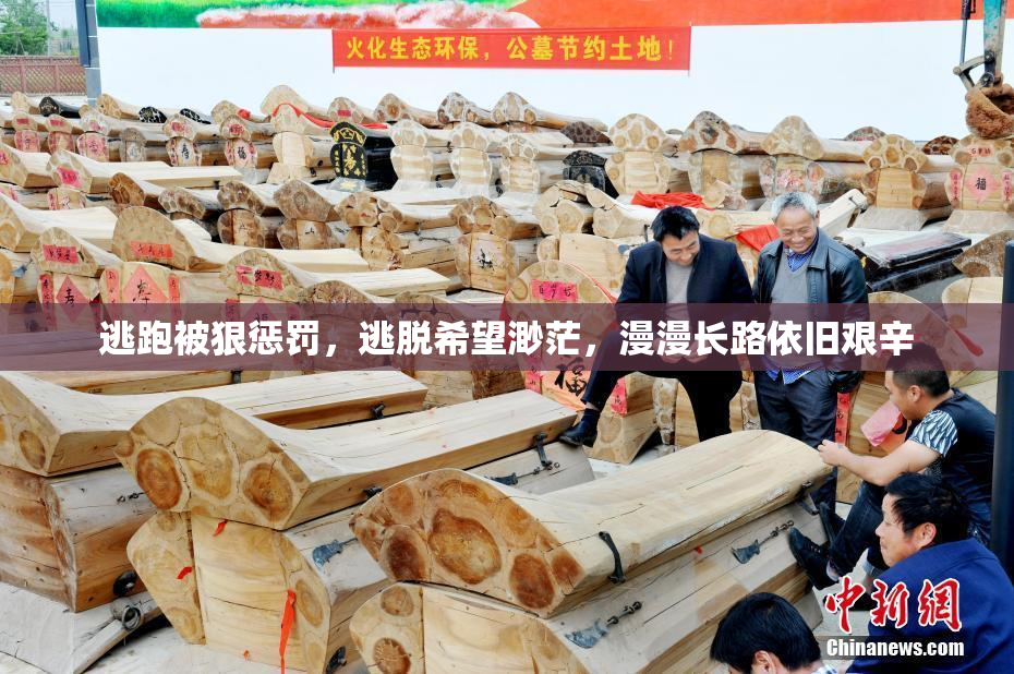 逃跑被狠惩罚，逃脱希望渺茫，漫漫长路依旧艰辛