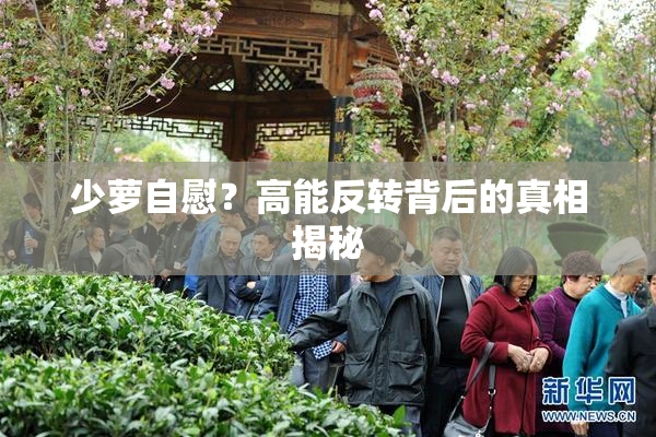 少萝自慰？高能反转背后的真相揭秘