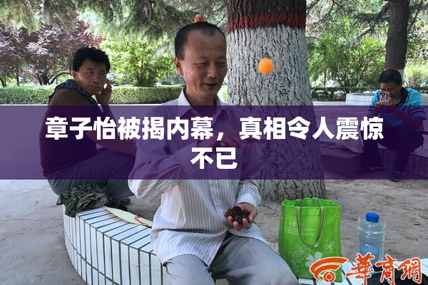 章子怡被揭内幕，真相令人震惊不已