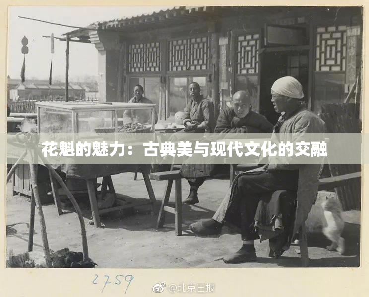 花魁的魅力：古典美与现代文化的交融