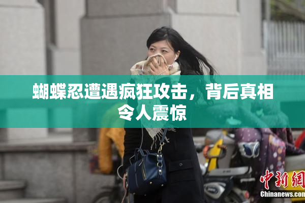 蝴蝶忍遭遇疯狂攻击，背后真相令人震惊