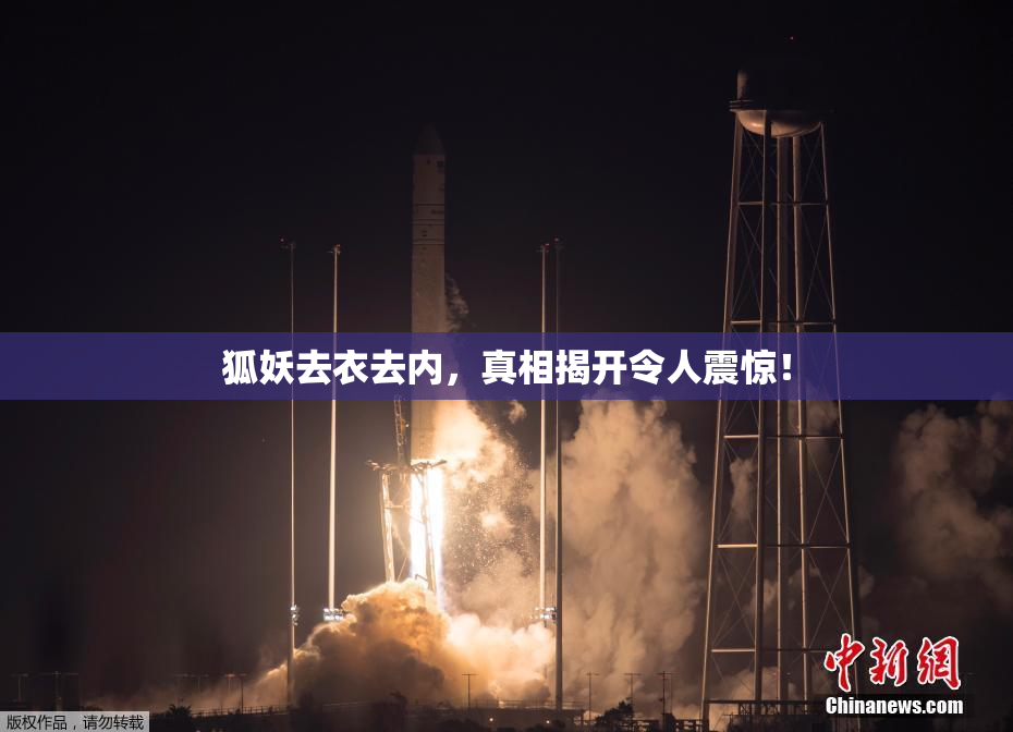 狐妖去衣去内，真相揭开令人震惊！