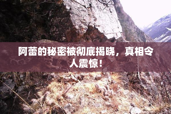 阿蕾的秘密被彻底揭晓，真相令人震惊！