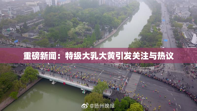重磅新闻：特级大乳大黄引发关注与热议