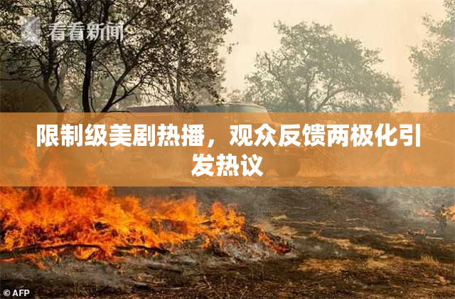 限制级美剧热播，观众反馈两极化引发热议