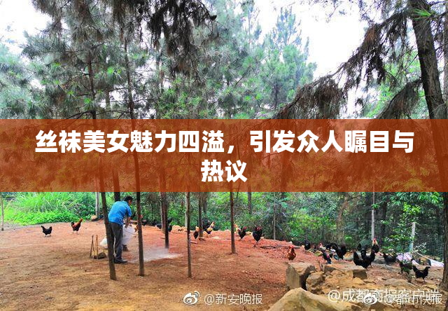 丝袜美女魅力四溢，引发众人瞩目与热议