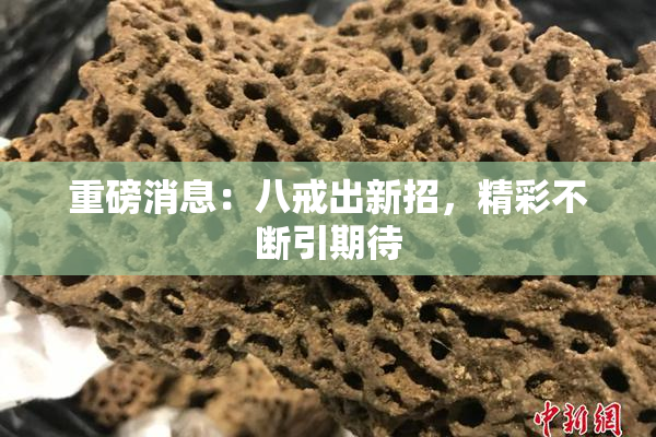 重磅消息：八戒出新招，精彩不断引期待