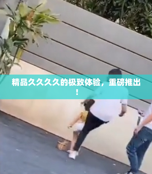 精品久久久久的极致体验，重磅推出！