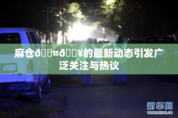麻仓🖤🔥的最新动态引发广泛关注与热议