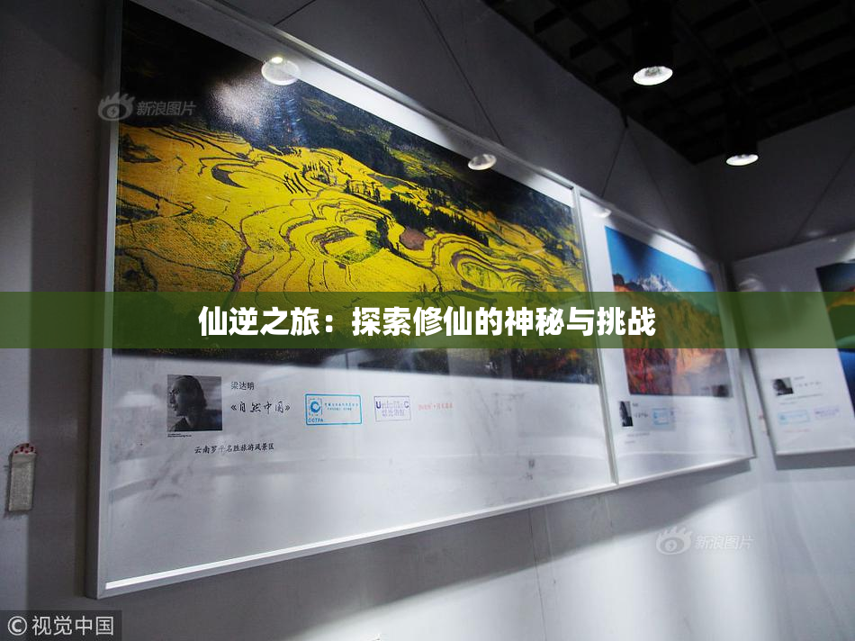 仙逆之旅：探索修仙的神秘与挑战