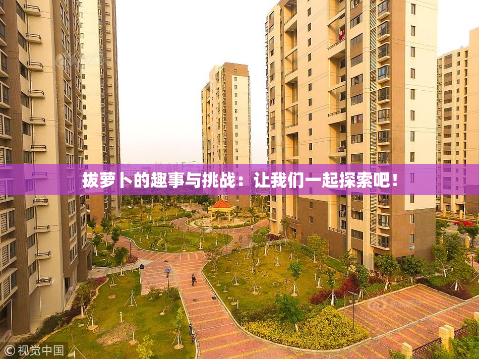 拔萝卜的趣事与挑战：让我们一起探索吧！