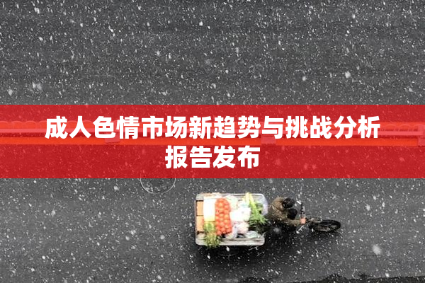 成人色情市场新趋势与挑战分析报告发布