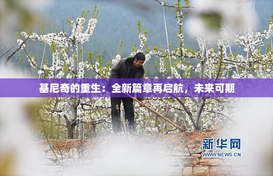 基尼奇的重生：全新篇章再启航，未来可期