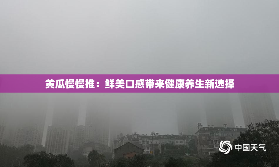 黄瓜慢慢推：鲜美口感带来健康养生新选择