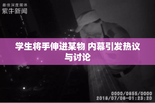 学生将手伸进某物 内幕引发热议与讨论