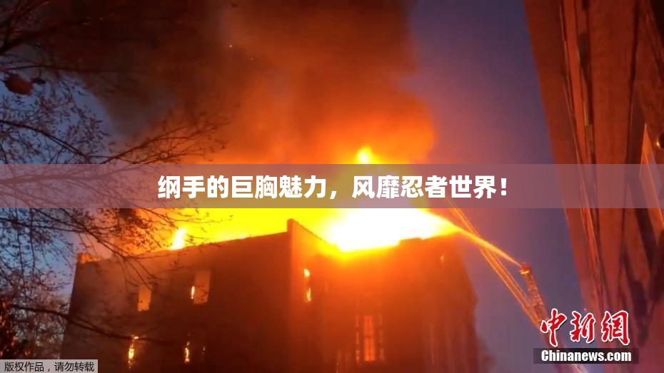 纲手的巨胸魅力，风靡忍者世界！
