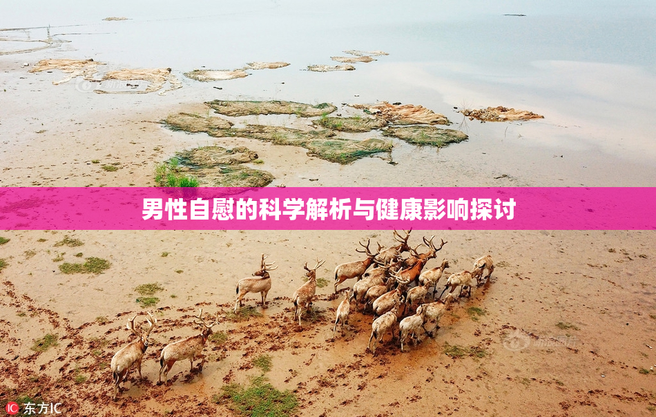 男性自慰的科学解析与健康影响探讨