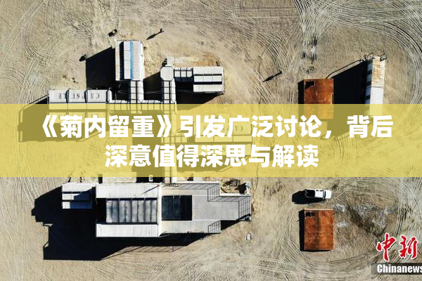 《菊内留重》引发广泛讨论，背后深意值得深思与解读