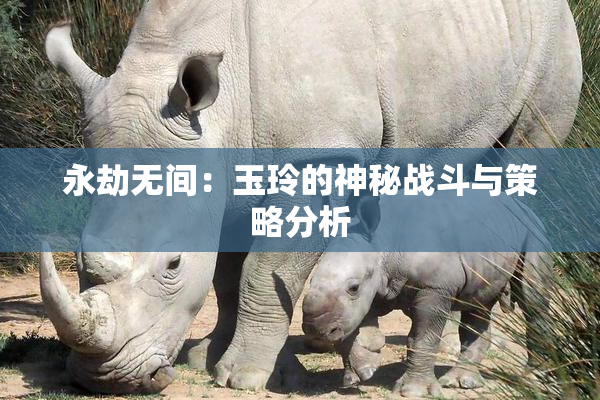 永劫无间：玉玲的神秘战斗与策略分析