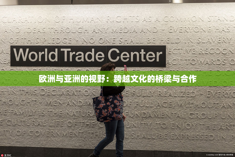 欧洲与亚洲的视野：跨越文化的桥梁与合作
