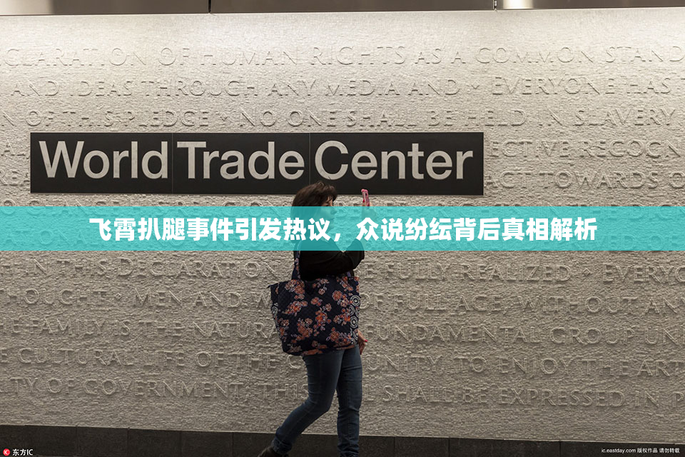 飞霄扒腿事件引发热议，众说纷纭背后真相解析