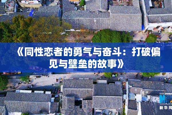 《同性恋者的勇气与奋斗：打破偏见与壁垒的故事》
