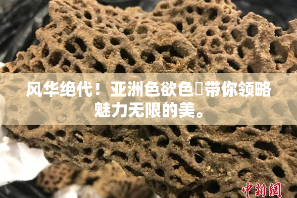 风华绝代！亚洲色欲色欱带你领略魅力无限的美。