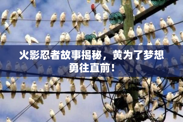 火影忍者故事揭秘，黄为了梦想勇往直前！