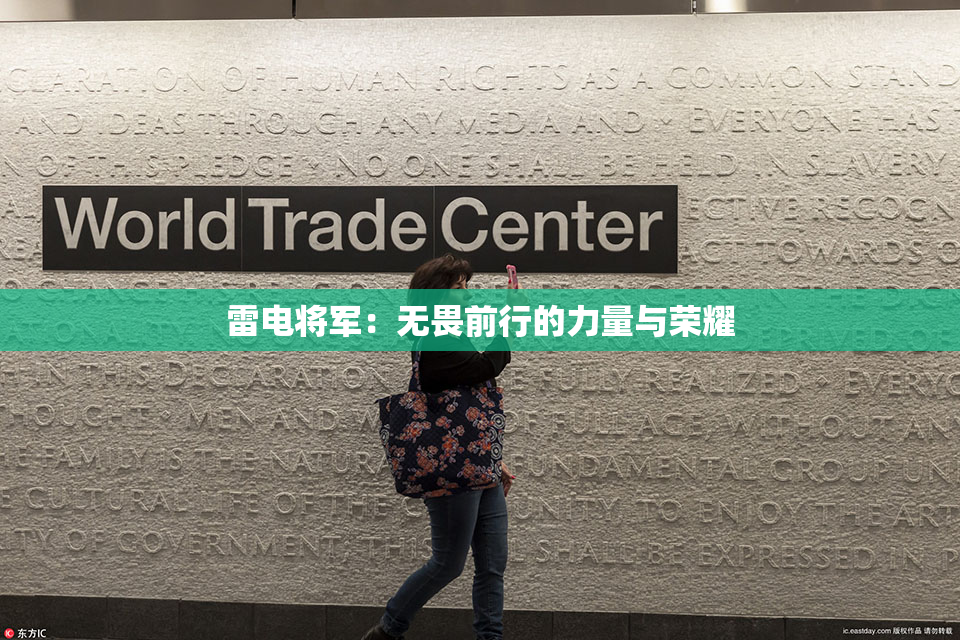 雷电将军：无畏前行的力量与荣耀