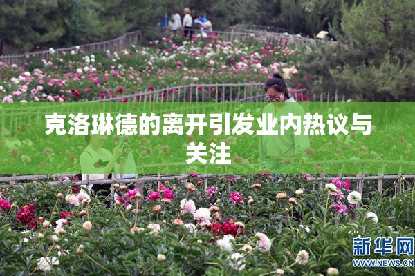 克洛琳德的离开引发业内热议与关注