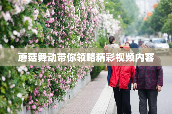 蘑菇舞动带你领略精彩视频内容